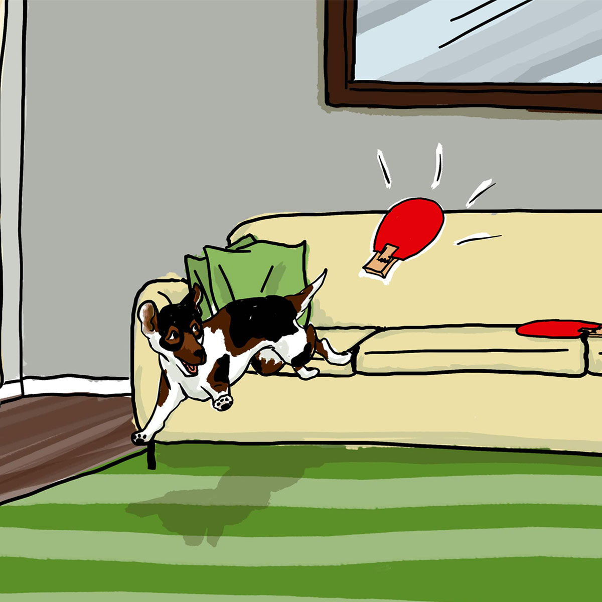 The Original Snappy Trainer The Wild Treat Company